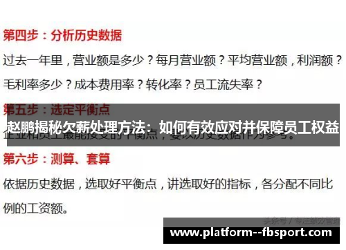赵鹏揭秘欠薪处理方法：如何有效应对并保障员工权益