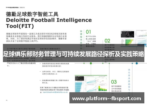 足球俱乐部财务管理与可持续发展路径探析及实践策略